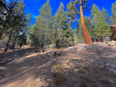 56871 Tamarack Dr, Springville, CA 93265