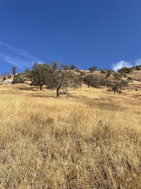 42158 Corral Dr, Three Rivers, CA 93271 photo 2