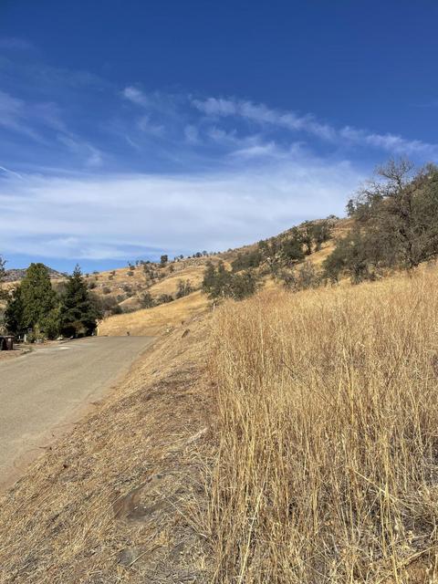 42186 Corral Dr, Three Rivers, CA 93271