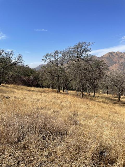42347 Corral Dr, Three Rivers, CA 93271