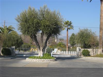 30914 Angus Loop Dr, Springville, CA 93265 photo 3