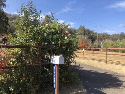 43041 N North Fork Dr, Three Rivers, CA 93271 photo 3