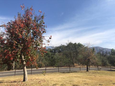 43041 N North Fork Dr, Three Rivers, CA 93271 photo 13