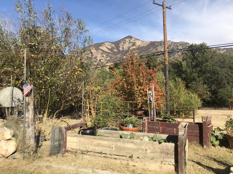 43041 N North Fork Dr, Three Rivers, CA 93271 photo 8