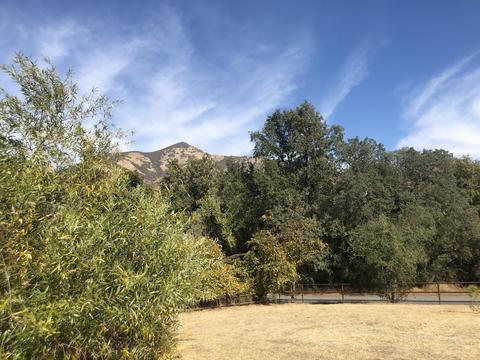 43041 N North Fork Dr, Three Rivers, CA 93271 photo 16