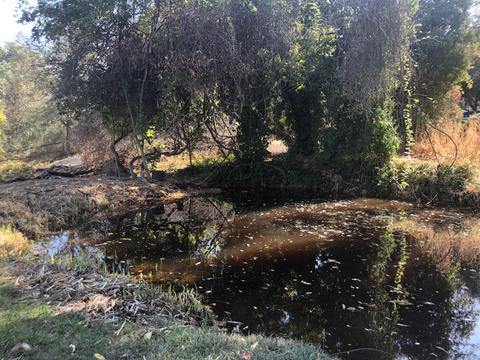 43041 N North Fork Dr, Three Rivers, CA 93271 photo 7