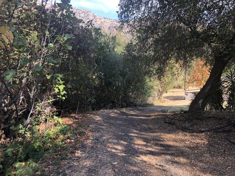43041 N North Fork Dr, Three Rivers, CA 93271 photo 46
