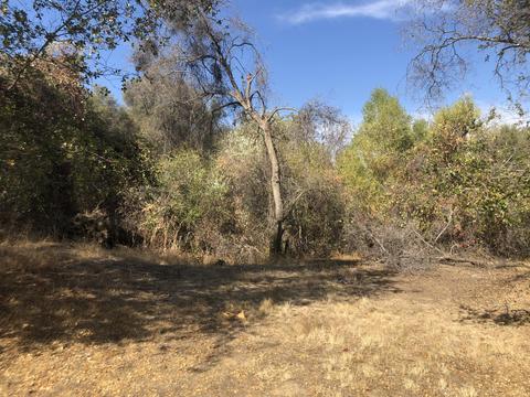 43041 N North Fork Dr, Three Rivers, CA 93271 photo 48