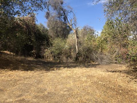 43041 N North Fork Dr, Three Rivers, CA 93271 photo 47