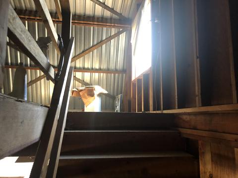 43041 N North Fork Dr, Three Rivers, CA 93271 photo 55