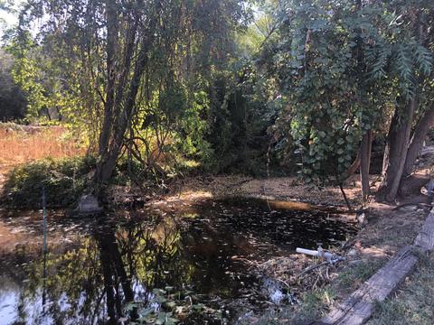 43041 N North Fork Dr, Three Rivers, CA 93271 photo 6