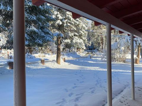 2015 Nelson Dr, Springville, CA 93265 photo 8
