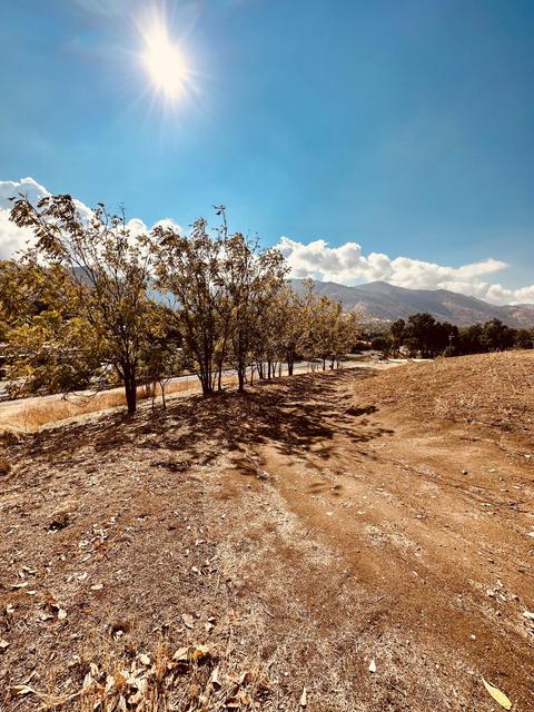 41231 Sierra Dr, Three Rivers, CA 93271 photo 32