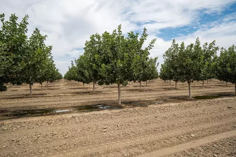 0 Kent Ave, Hanford, CA 93230