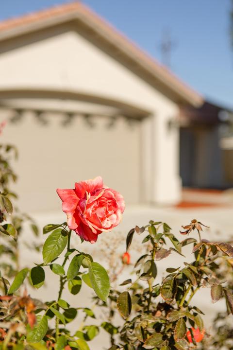 706 Keith St, Lemoore, CA 93245 photo 27
