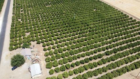 392 E Ave, Cutler, CA 93615