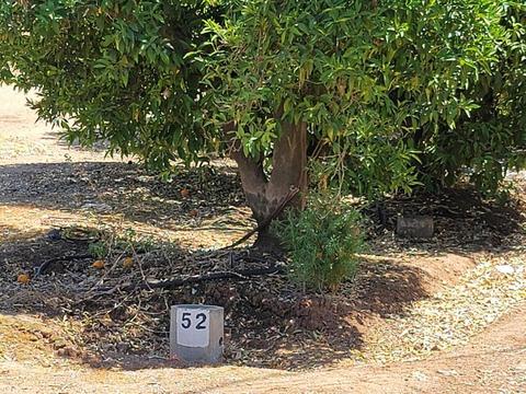 392 E Ave, Cutler, CA 93615 photo 10