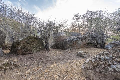 45450 S Fork Dr, Three Rivers, CA 93271 photo 23