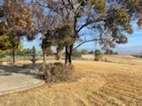 233 Valley View Dr, Exeter, CA 93221 photo 5