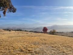 233 Valley View Dr, Exeter, CA 93221 photo 8