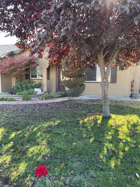 424 Sue Ave, Dinuba, CA 93618 photo 3