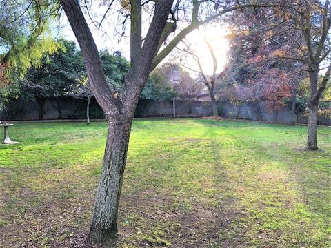 3233 E Birch Ave, Visalia, CA 93291 photo 20