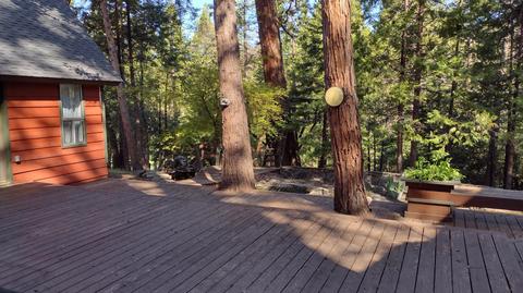 1679 Nelson Dr #D, Springville, CA 93265 photo 14