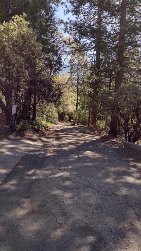 1679 Nelson Dr #D, Springville, CA 93265 photo 81