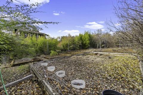 40590 Harris Rd, Springville, CA 93265 photo 19