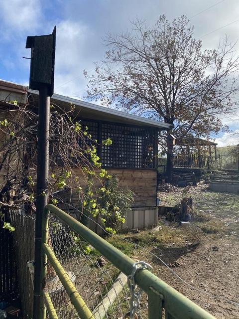 21791 Avenue 295, Exeter, CA 93221 photo 22