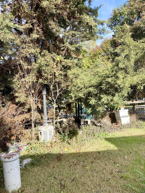 21791 Avenue 295, Exeter, CA 93221 photo 20