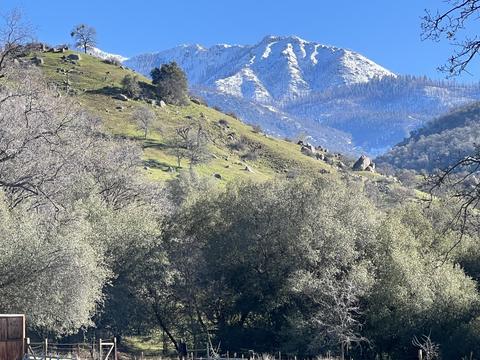 40952 Harris Rd, Springville, CA 93265 photo 9