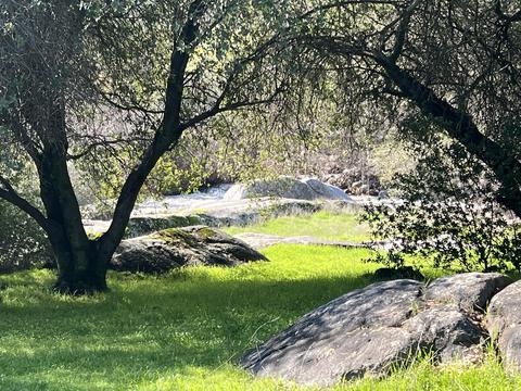 40952 Harris Rd, Springville, CA 93265 photo 2