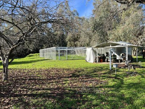 40952 Harris Rd, Springville, CA 93265 photo 30