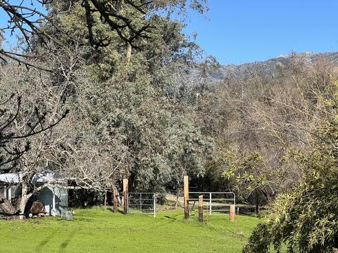 40952 Harris Rd, Springville, CA 93265 photo 27