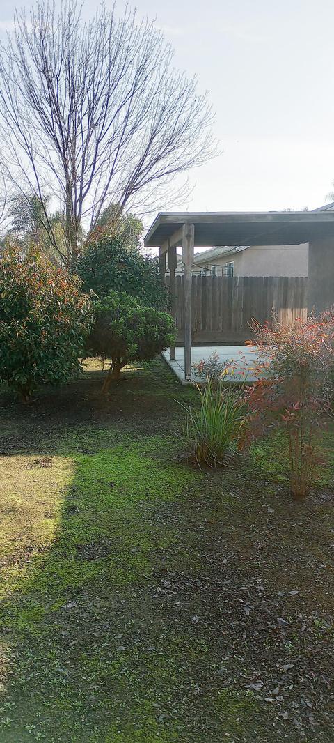 2416 E Chestnut Ct, Visalia, CA 93292 photo 46