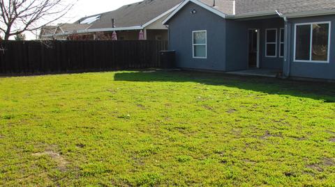 394 E Beech Ave, Reedley, CA 93654 photo 34