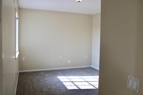 161 W Colony Rd, Ripon, CA 95366 photo 32