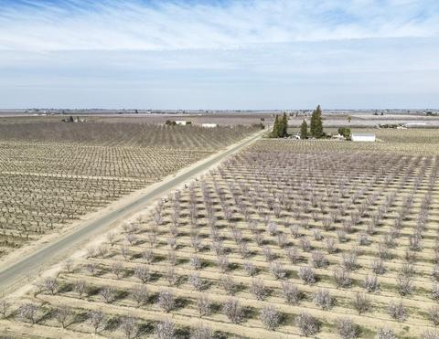 16106 W Shields Ave, Kerman, CA 93630 photo 10