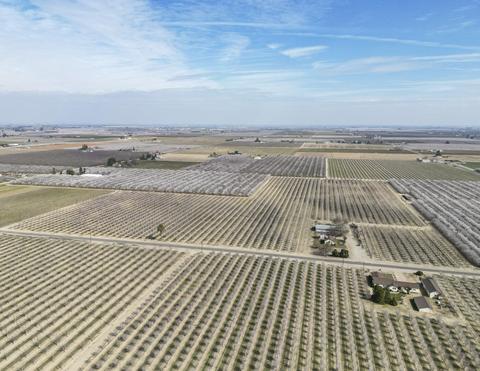 16106 W Shields Ave, Kerman, CA 93630 photo 11