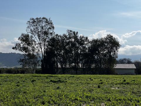22070 Ave 312, Exeter, CA 93221 photo 32