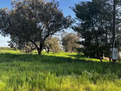 22070 Ave 312, Exeter, CA 93221 photo 36