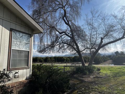 22070 Ave 312, Exeter, CA 93221 photo 1