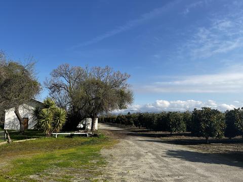 22070 Ave 312, Exeter, CA 93221 photo 22