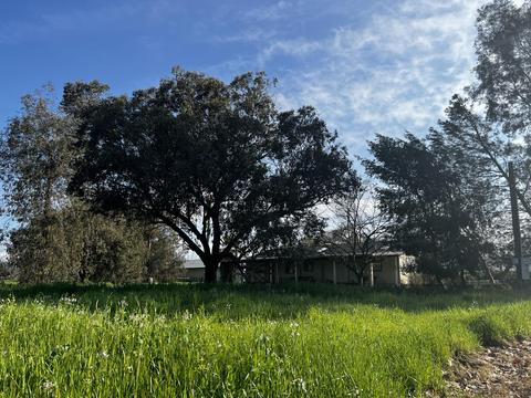 22070 Ave 312, Exeter, CA 93221 photo 20