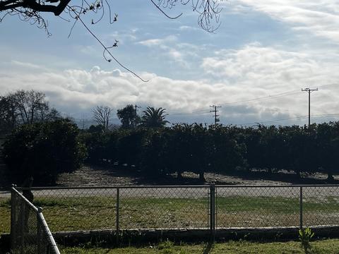 22070 Ave 312, Exeter, CA 93221 photo 16