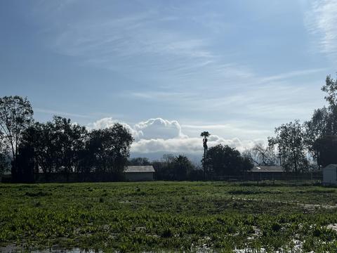 22070 Ave 312, Exeter, CA 93221 photo 30