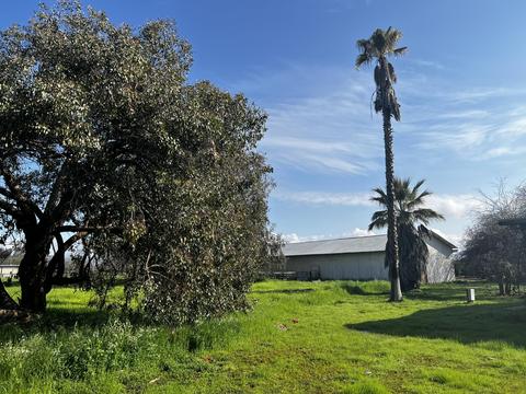 22070 Ave 312, Exeter, CA 93221 photo 29