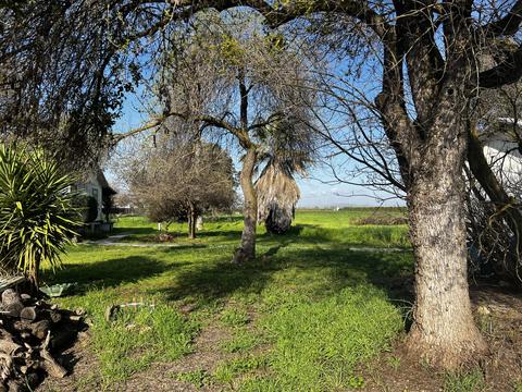 22070 Ave 312, Exeter, CA 93221 photo 35