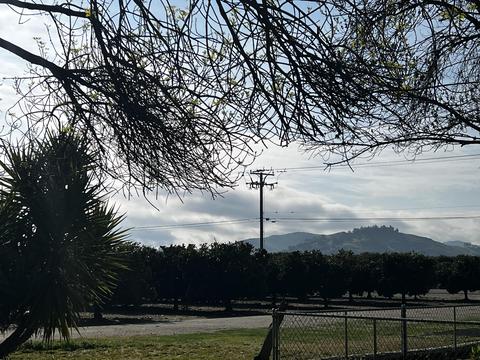 22070 Ave 312, Exeter, CA 93221 photo 14